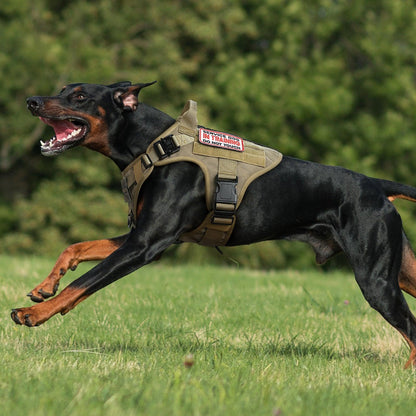 PAWTRENDER Tactical Dog Harness for Large Dogs - Tan 