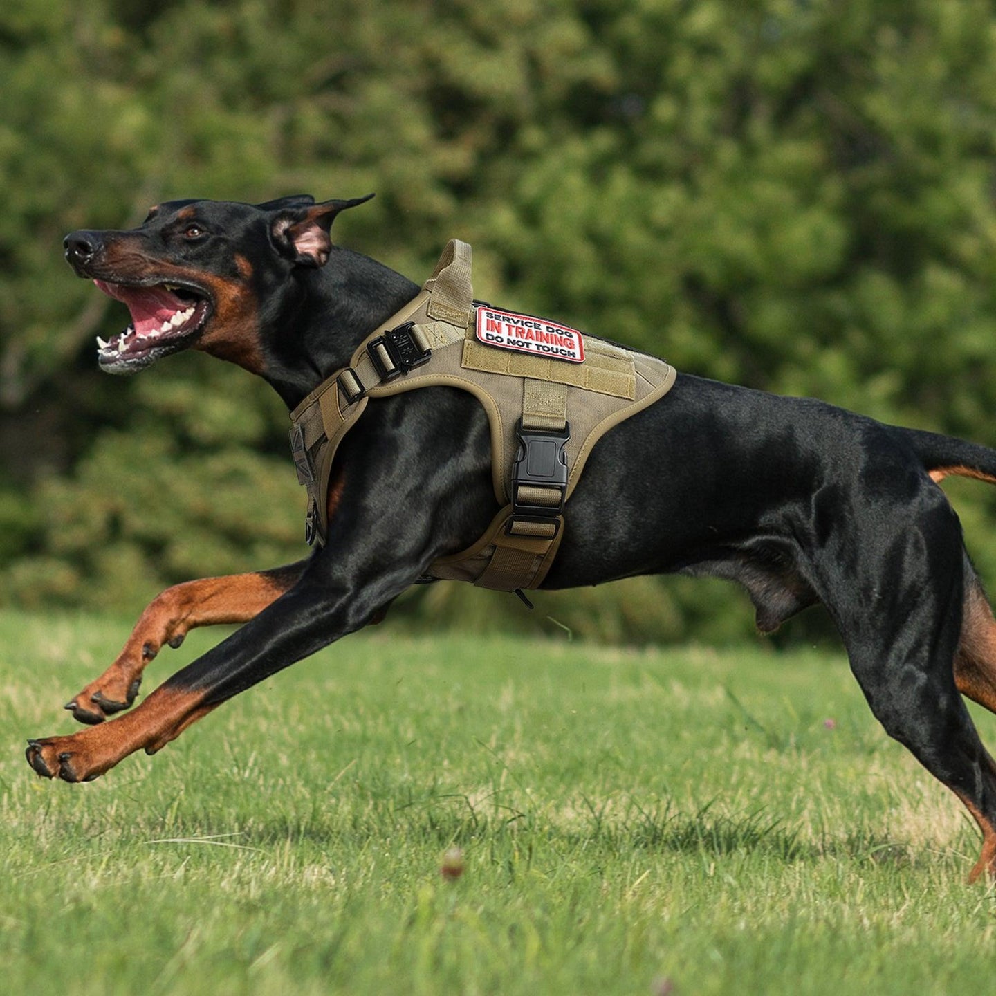 PAWTRENDER Tactical Dog Harness for Large Dogs - Tan 