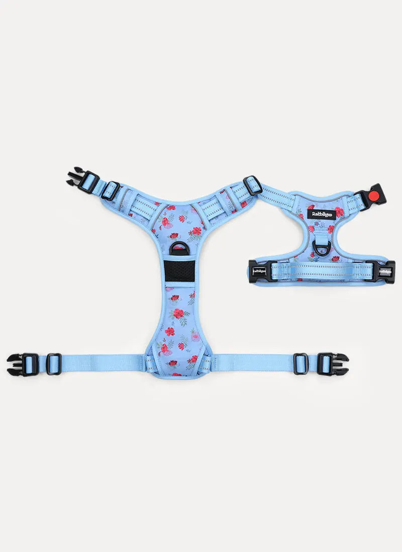 BloomWalk Easy-On No Pull Dog Harness - Floral Blue