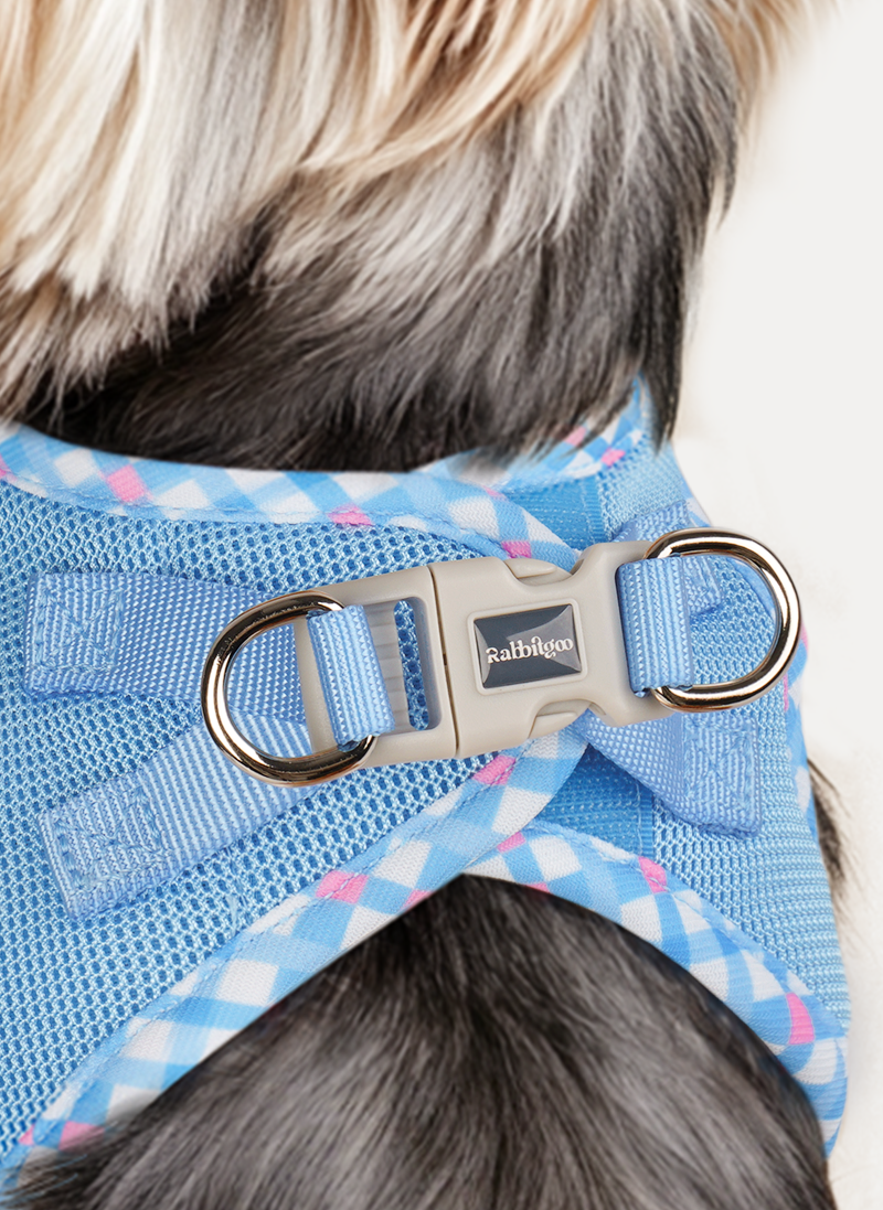 Minifit Small Dog Harness and Leash Set - Blue & Plaid Trim