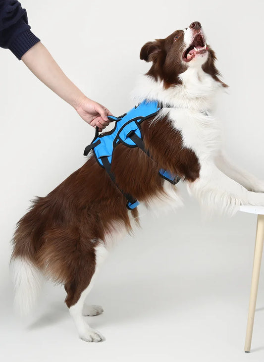 Rabbitgoo Large Dog Harness with Handle - Blue