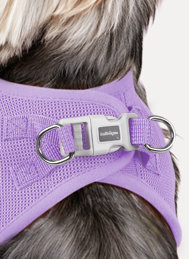 Minifit Small Dog Harness and Leash Set - Light Purple