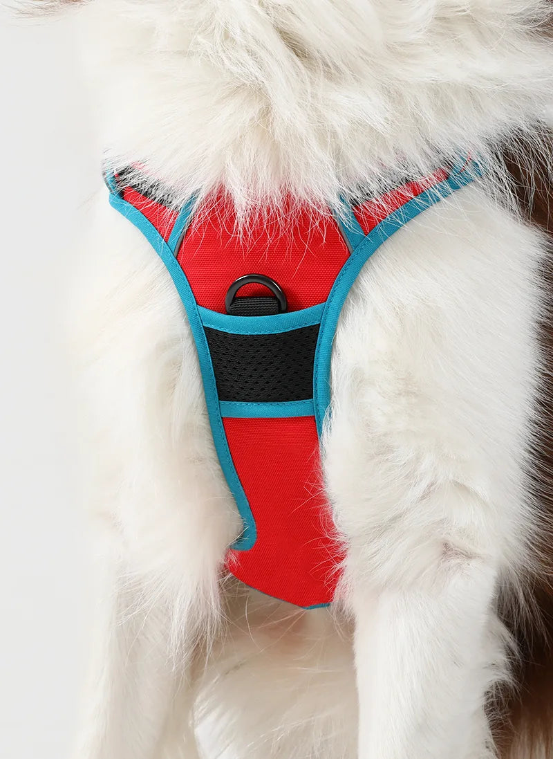 ColorPop Fit No Pull Dog Harness - Red & Teal