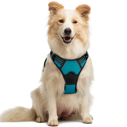 Rabbitgoo No Pull Dog Harness