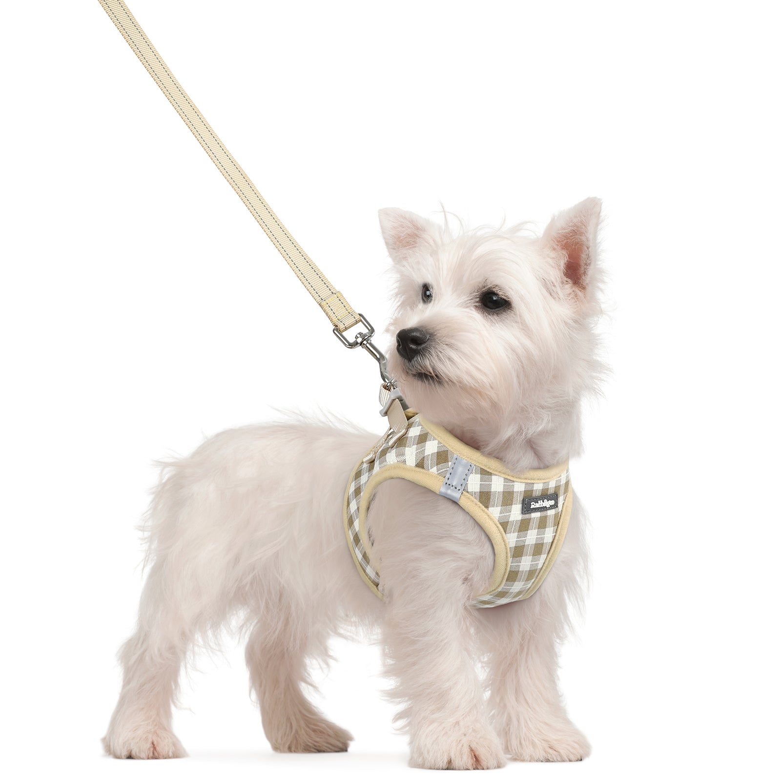 Minifit Small Dog Harness and Leash Set - Beige Check