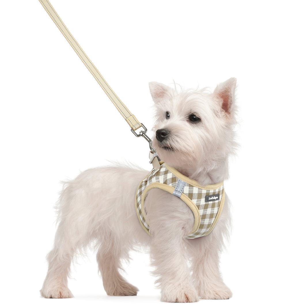 Minifit Small Dog Harness and Leash Set - Beige Check
