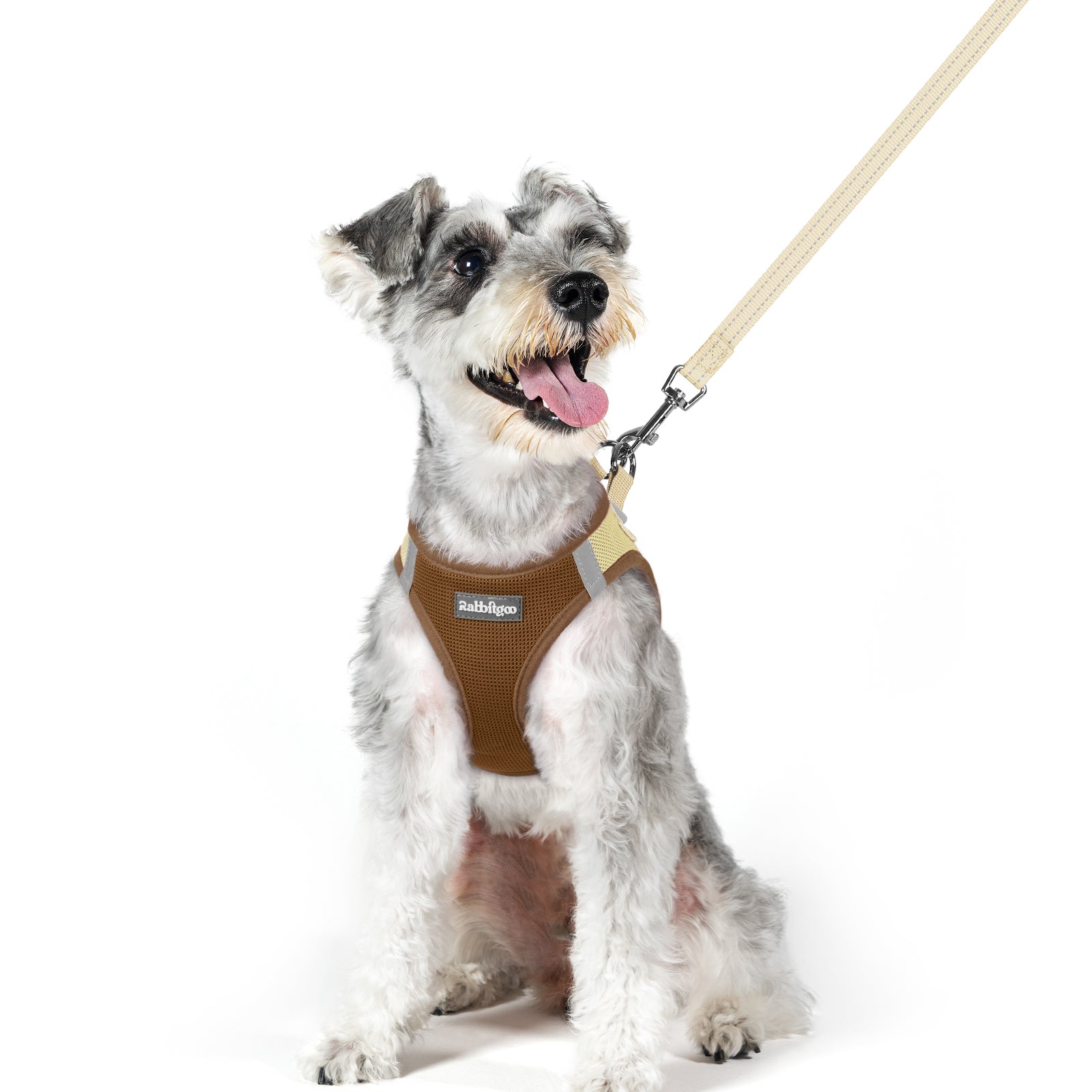 Minifit Small Dog Harness and Leash Set - Brown & Beige