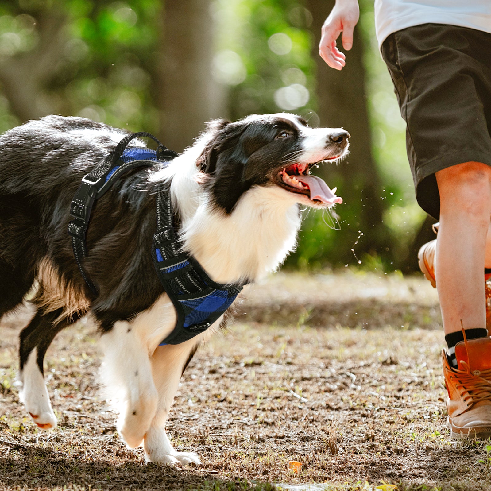Rabbitgoo dog sales harness size chart