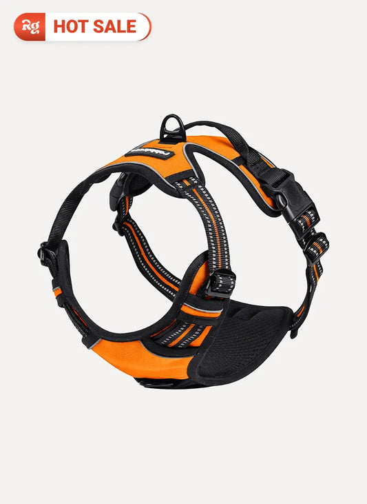 Classic Fit No Pull Dog Harness - Orange