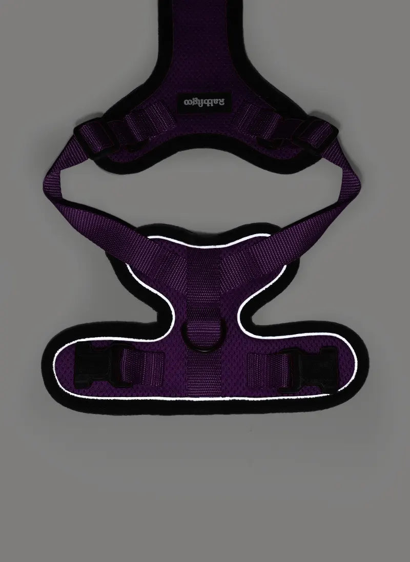 Rabbitgoo Classic Adjustable Cat Harness and Leash Set - Purple