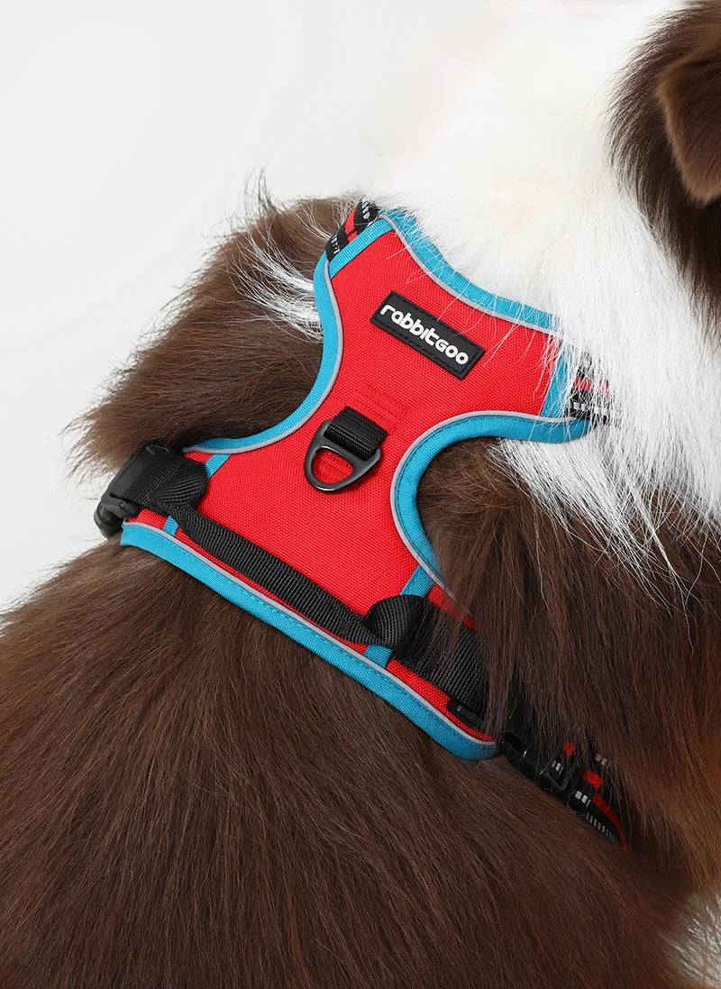 ColorPop Fit No Pull Dog Harness - Red & Teal