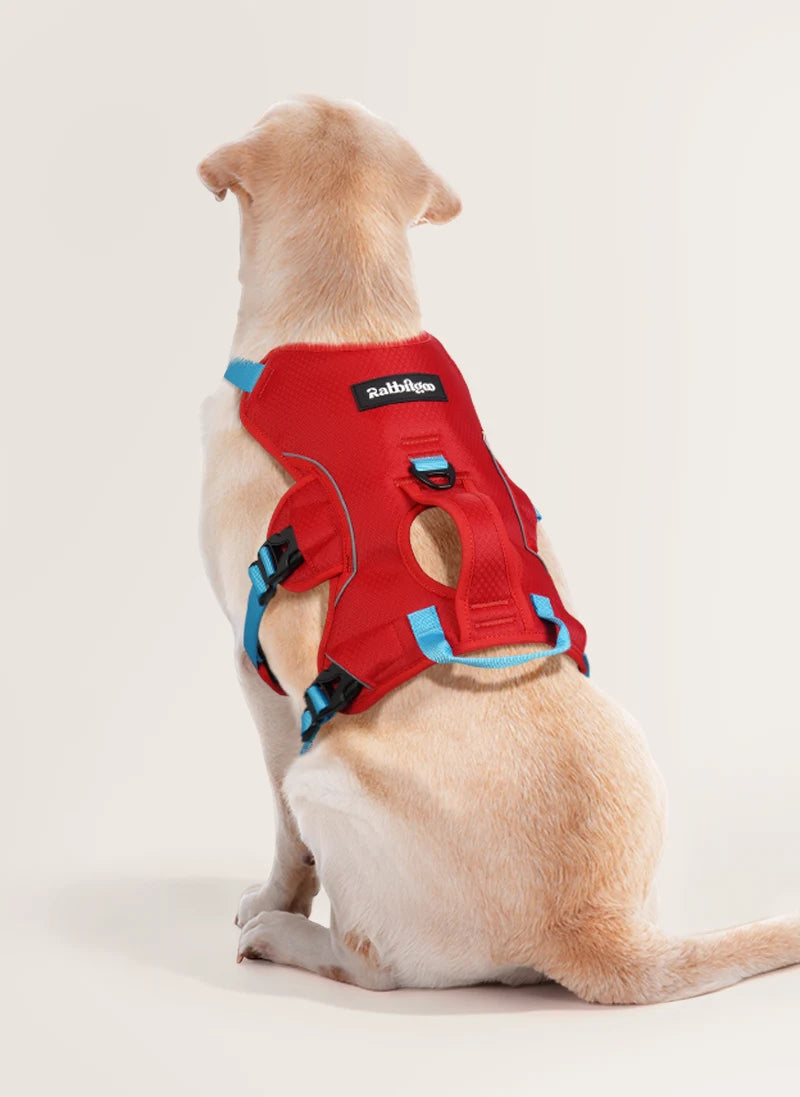 Lift Assist Escape Proof Dog Harness - Red & Light Blue
