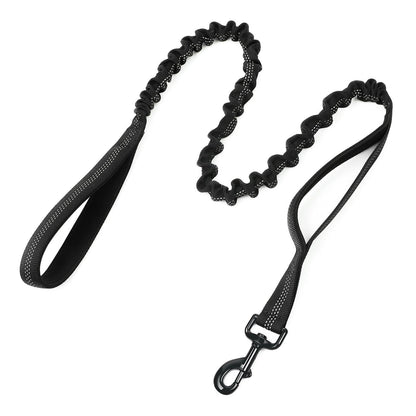 Rabbitgoo Dog Leash with 2 Padded Traffic Control Handles - Black 