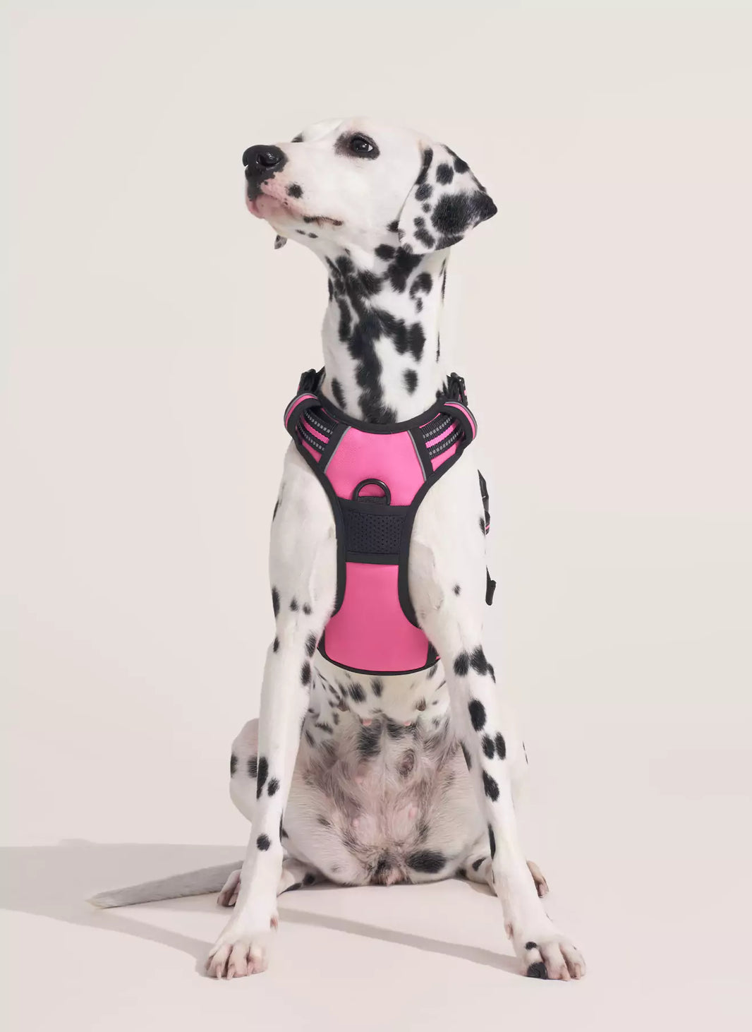 Classic Fit No Pull Dog Harness - Hot Pink