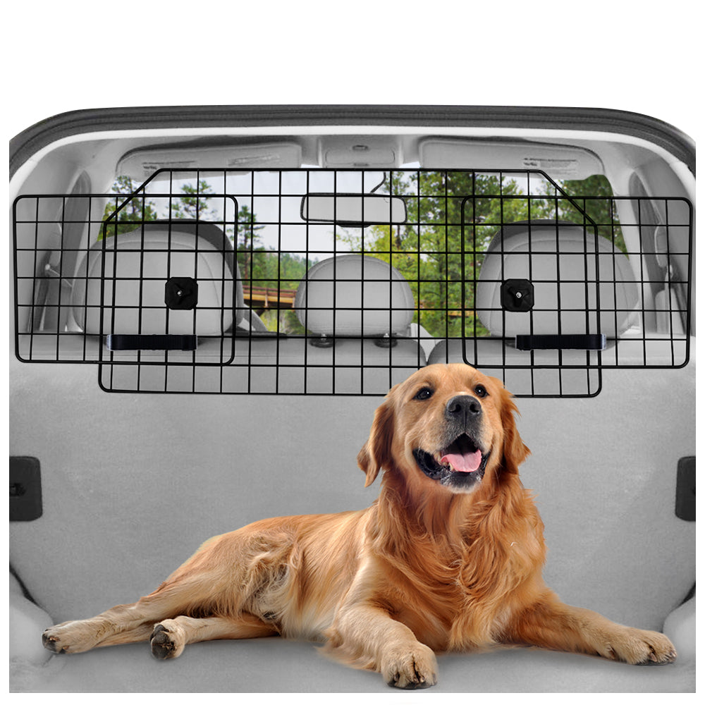 A Golden Retriever sits in a car with a dog car barrier installed inside.
