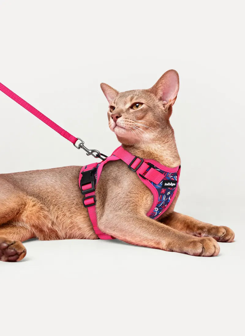 Rabbitgoo Kaleido Adjustable cat harness and leash set - Tropic Fuchsia