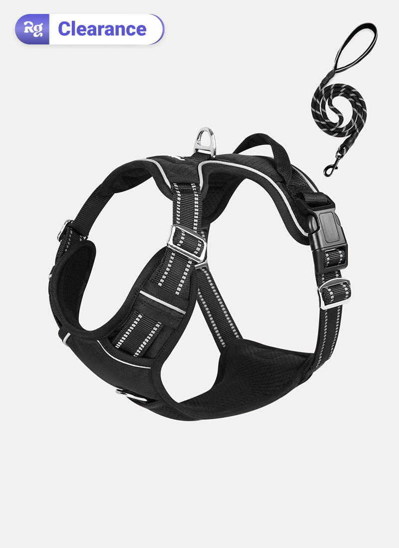 No Pull Dog Harness and Leash Set - Black / S