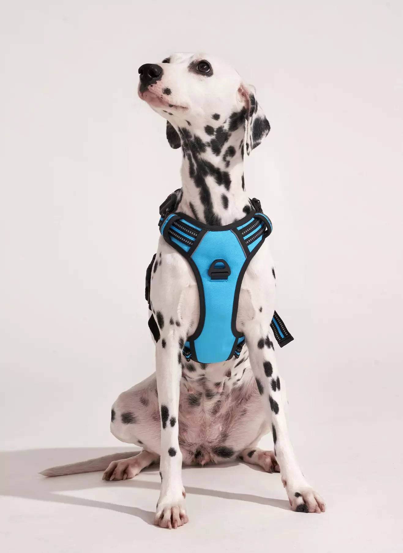 Uplift Pro Adjustable Dog Harness with Neck Buckle - Blue