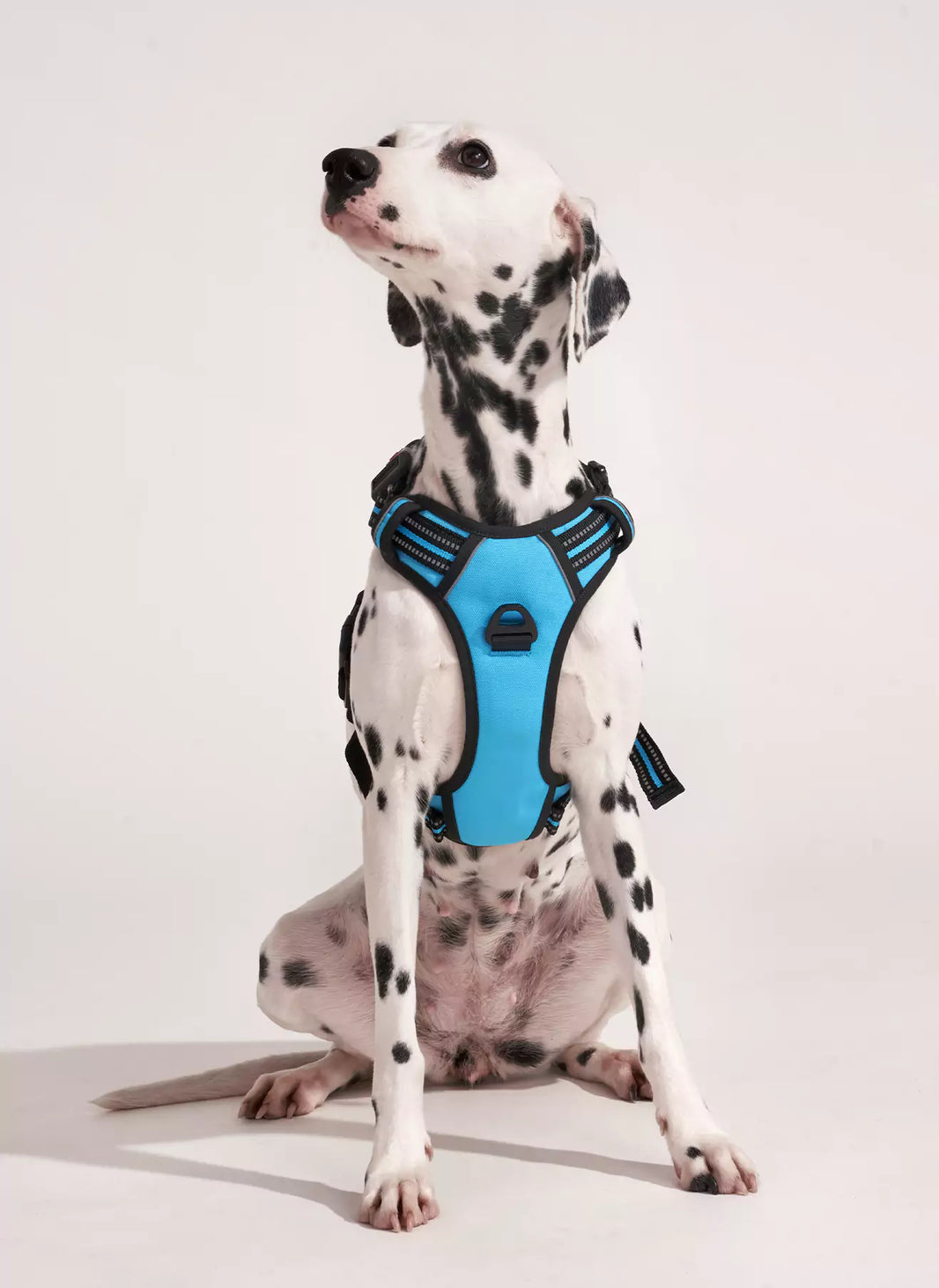 Uplift Pro Adjustable Dog Harness with Neck Buckle - Blue