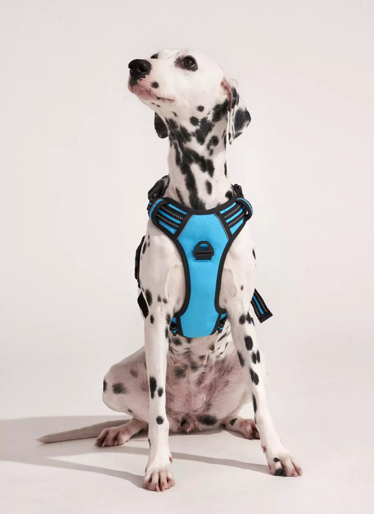 Uplift Pro Adjustable Dog Harness with Neck Buckle - Blue