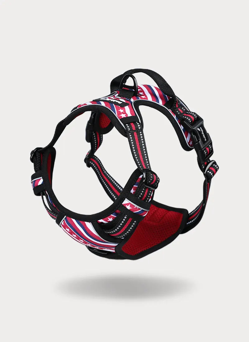 Urban Grid No Pull Dog Harness - Red Stripe