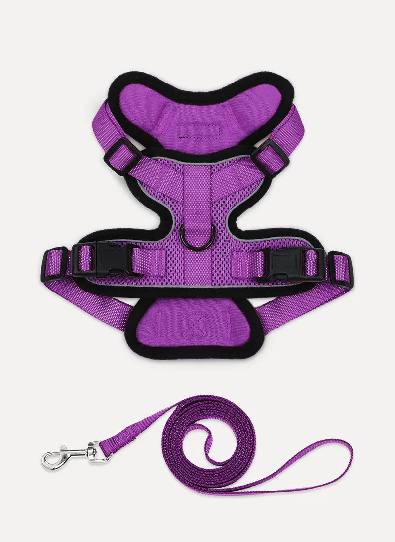 Rabbitgoo Classic Adjustable Cat Harness and Leash Set - Purple