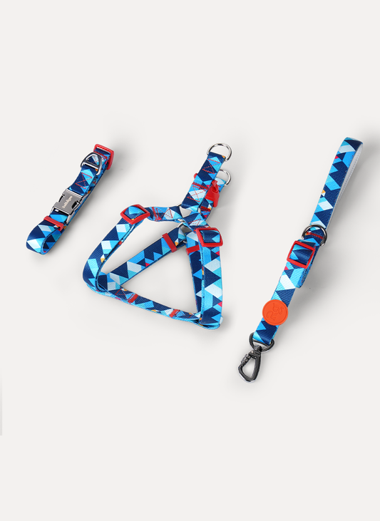 Freeline Y Series Blue Horizon Walking Set