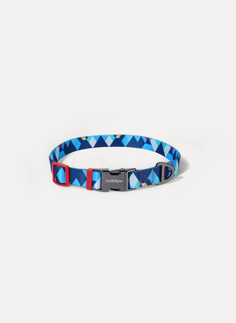 Freeline Y Series Blue Horizon Dog Collar Set - Blue