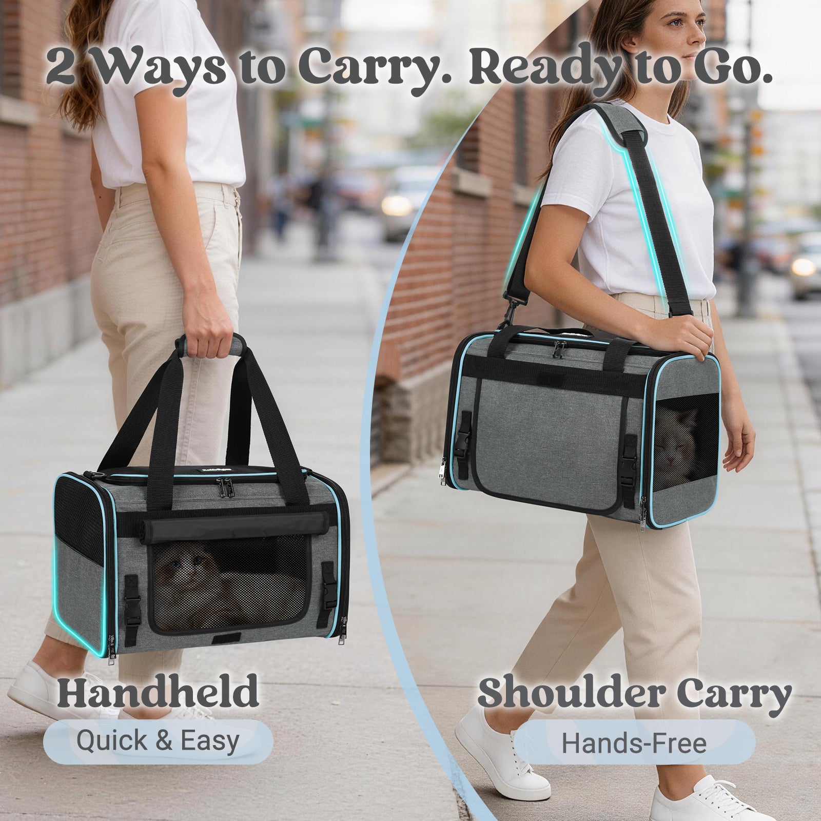 Rabbitgoo Fortress Pet Carrier - Fold Bag
