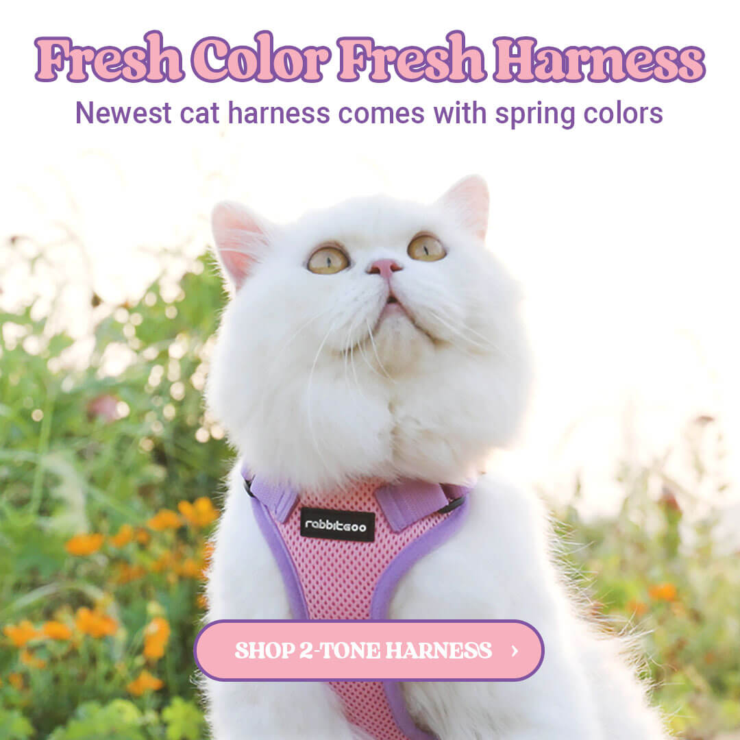 Rabbitgoo: Indestructible Pet harness & Gears