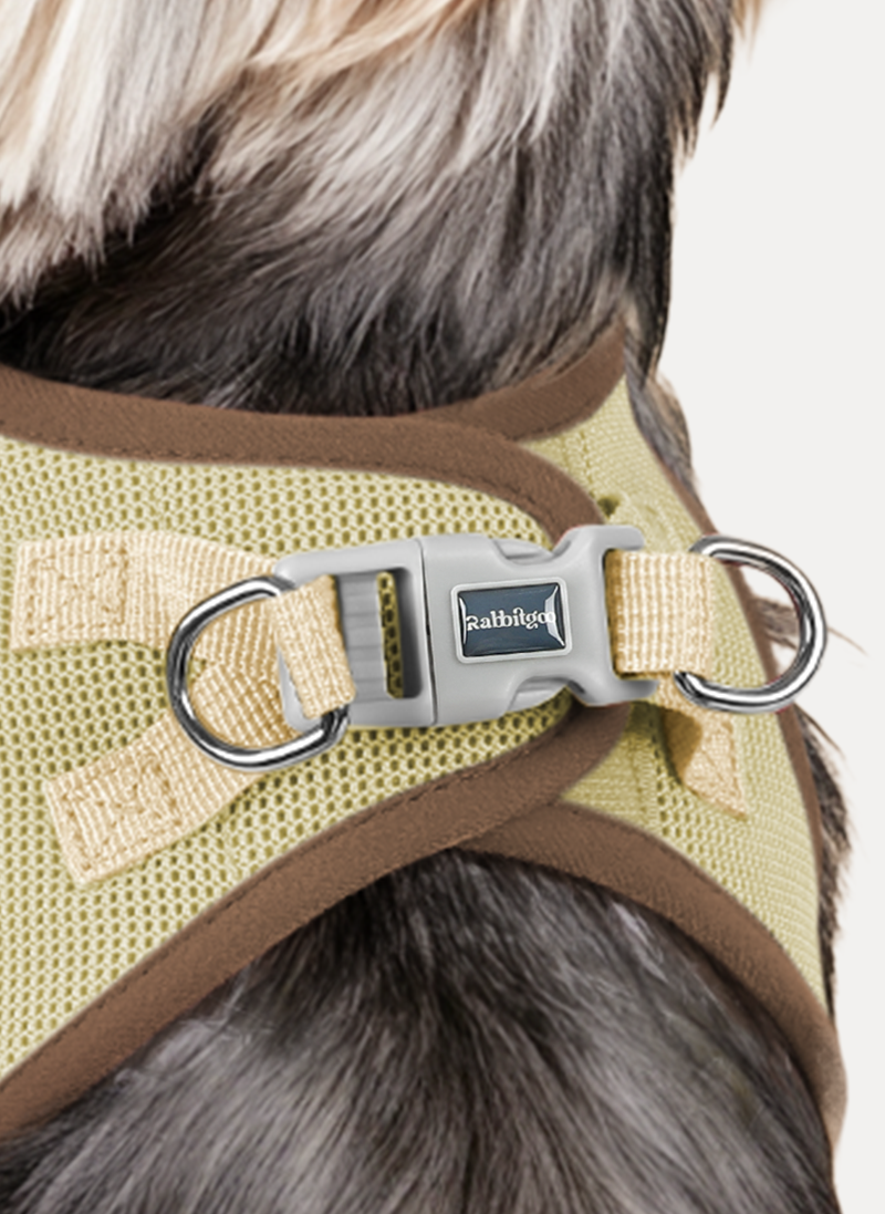 Minifit Small Dog Harness and Leash Set - Brown & Beige