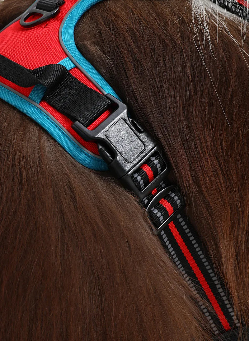 ColorPop Fit No Pull Dog Harness - Red & Teal