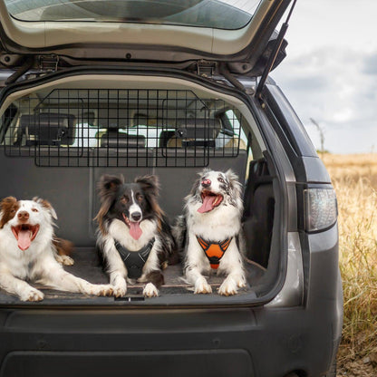 Rabbitgoo Adjustable Dog Car Barrier - Black