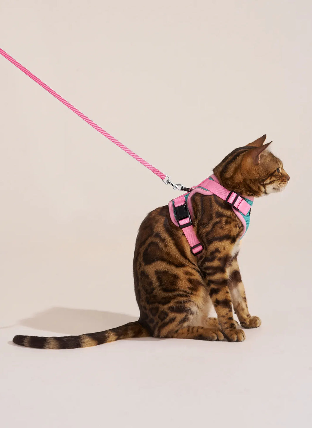 Rabbitgoo Fusion Adjustable cat harness and leash set - Green & Pink 