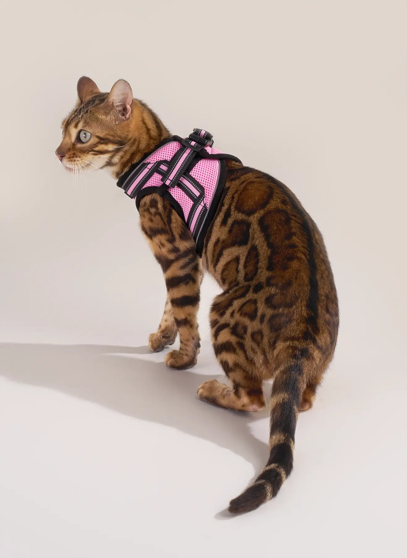 Rabbitgoo Escape Proof Cat Harness and Leash Set - Pink