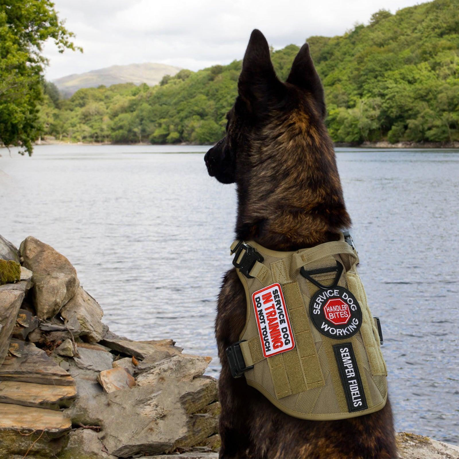 PAWTRENDER Tactical Dog Harness for Large Dogs - Tan 