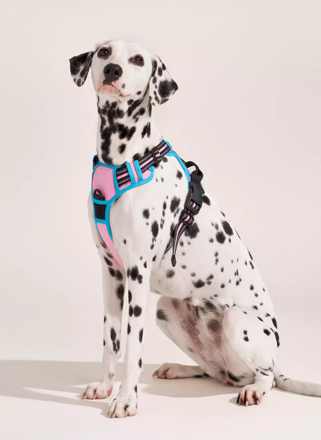 ColorPop Fit No Pull Dog Harness - Pink & Blue