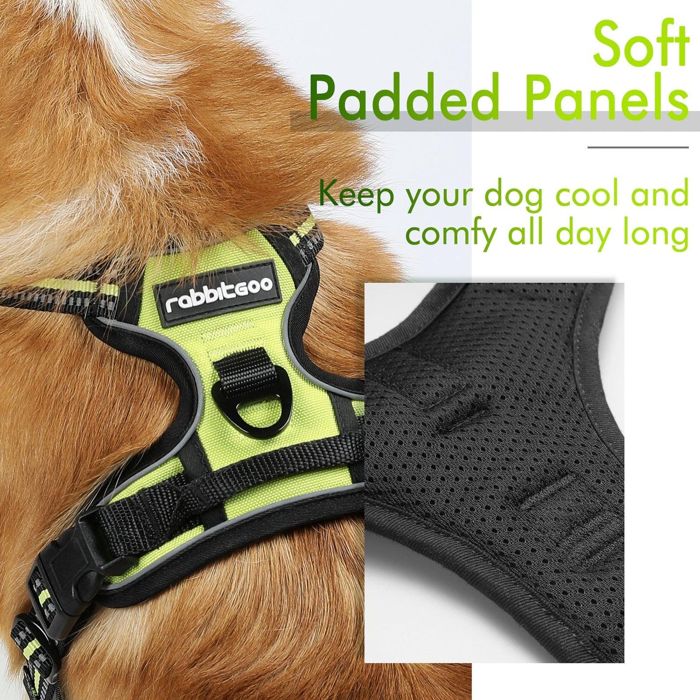Rabbitgoo No Pull Dog Harness - Wild Lime 