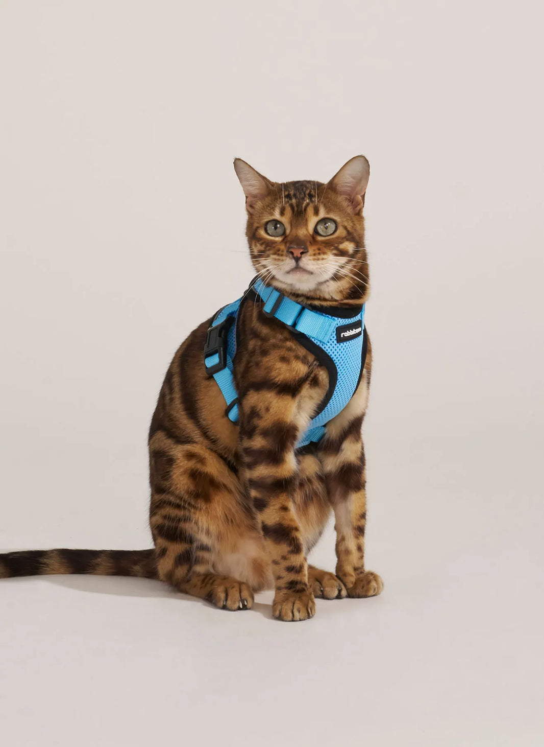 Rabbitgoo Classic Adjustable Cat Harness and Leash Set - Light Blue