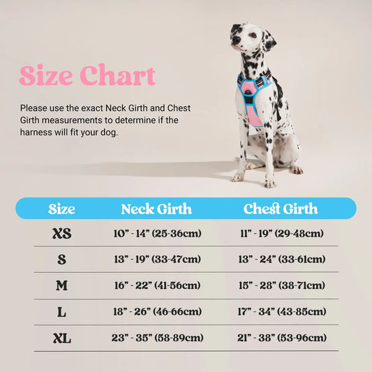 FLASH SALE: ColorPop Fit No Pull Dog Harness