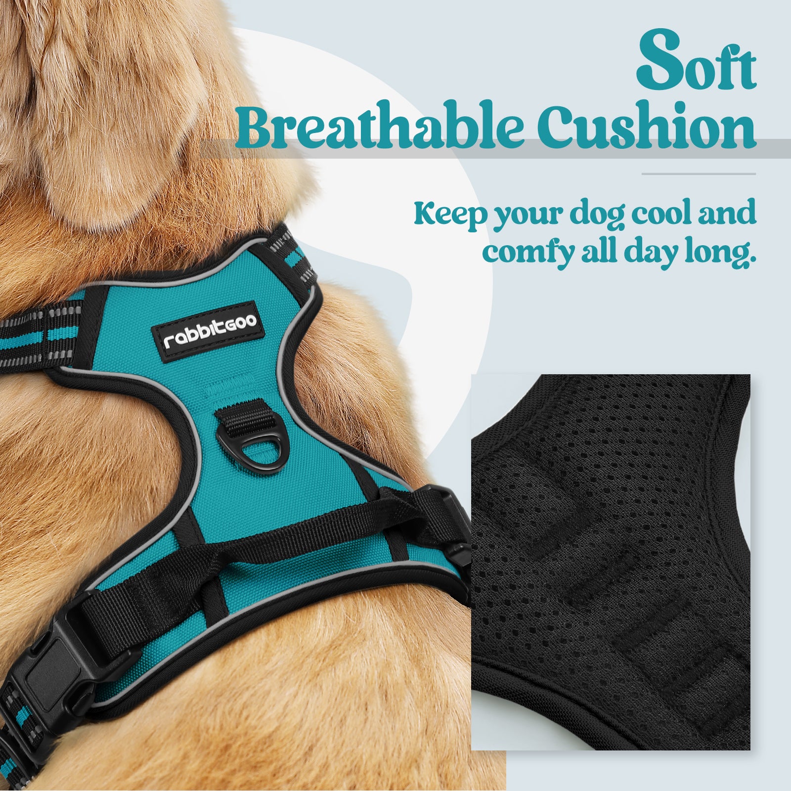 Classic Fit No Pull Dog Harness - Teal
