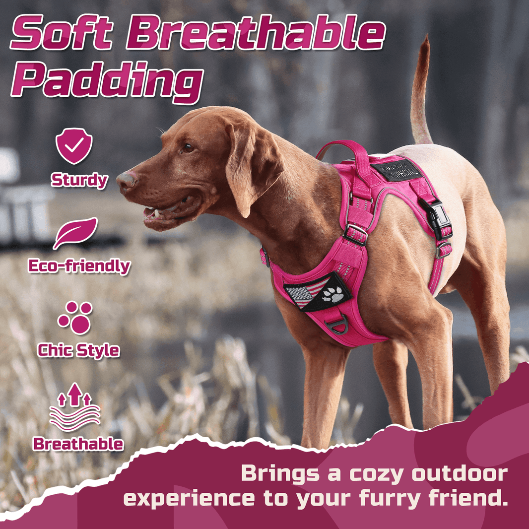 ColorPop Escape Proof Tactical Dog Harness - Rose Red 