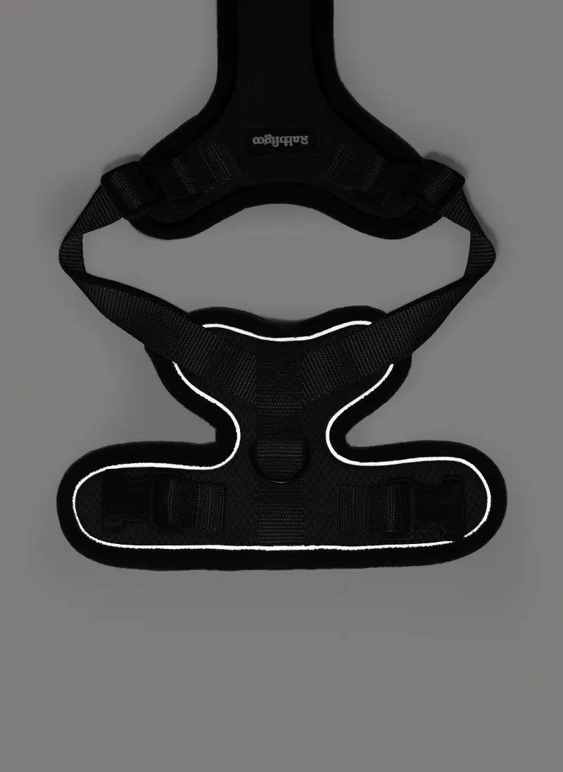 Rabbitgoo Classic Adjustable Cat Harness and Leash Set - Black