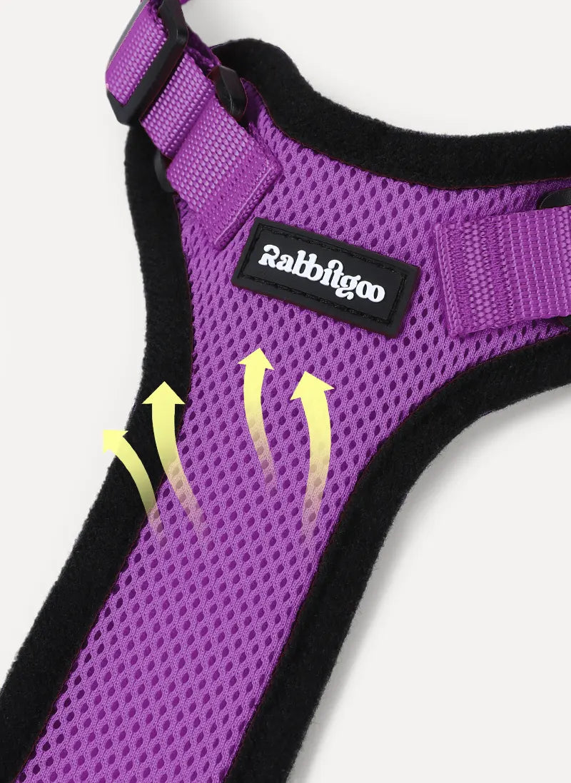 Rabbitgoo Classic Adjustable Cat Harness and Leash Set - Purple