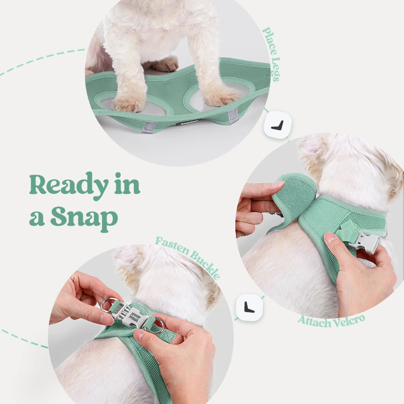 Minifit Small Dog Harness and Leash Set - Mint green