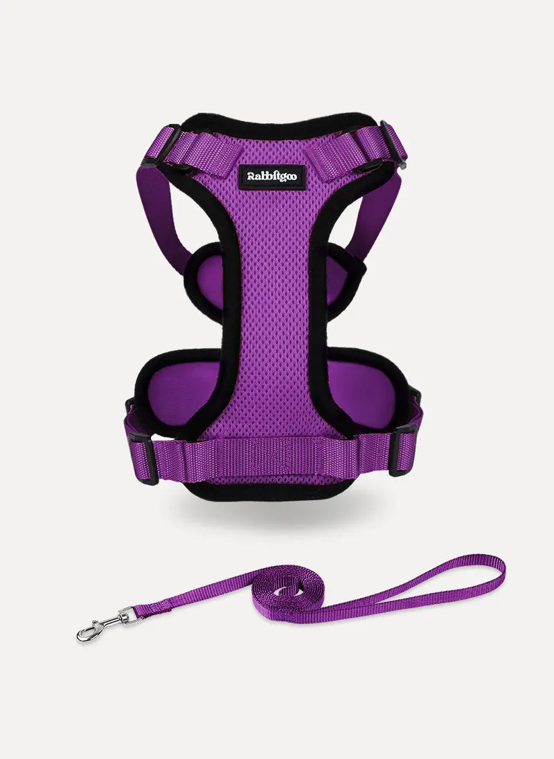 Rabbitgoo Classic Adjustable Cat Harness and Leash Set - Purple