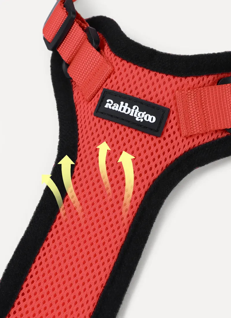 Rabbitgoo Classic Adjustable Cat Harness and Leash Set - Red
