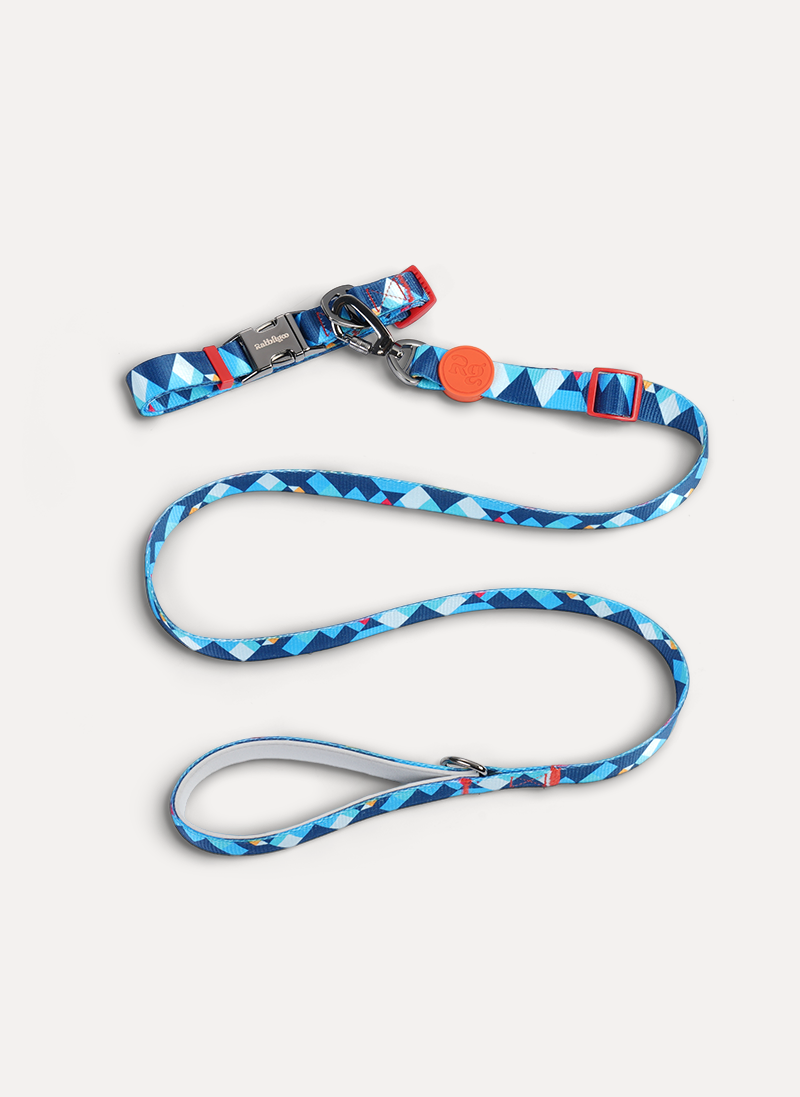 Freeline Y Series Blue Horizon Dog Collar Set - Blue