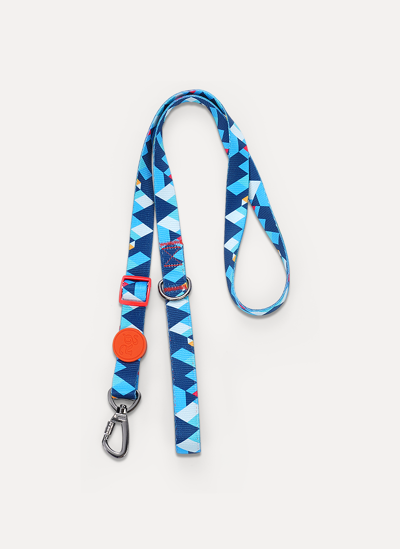 Freeline Y Series Blue Horizon Dog Harness Set