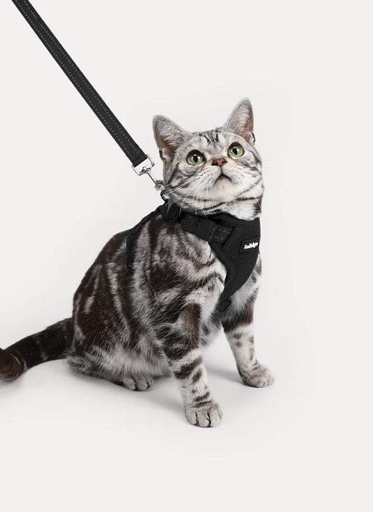 Rabbitgoo SnugFit 3-Point Cat Harness and Leash Set - Black